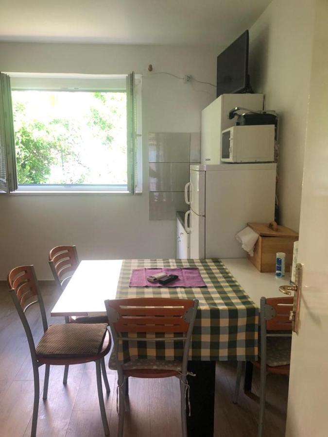 Zamicka Apartment *