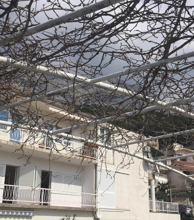 Apartmán Zamicka